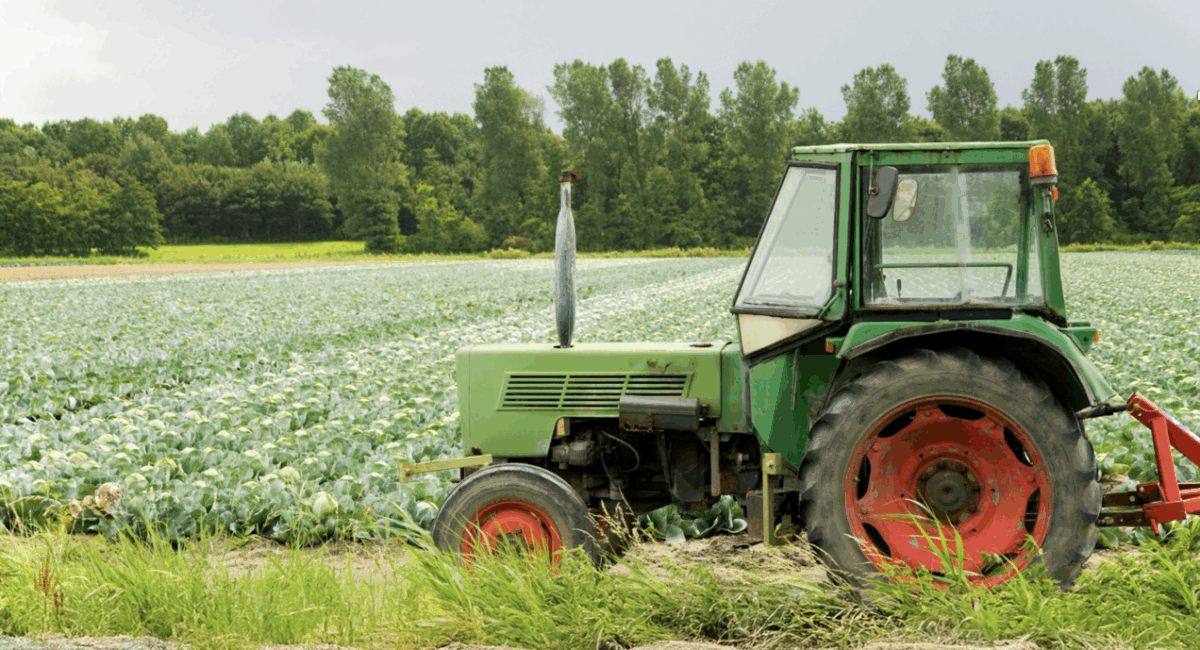 Montferland vraagt boeren input voor nieuw beleid buitengebied