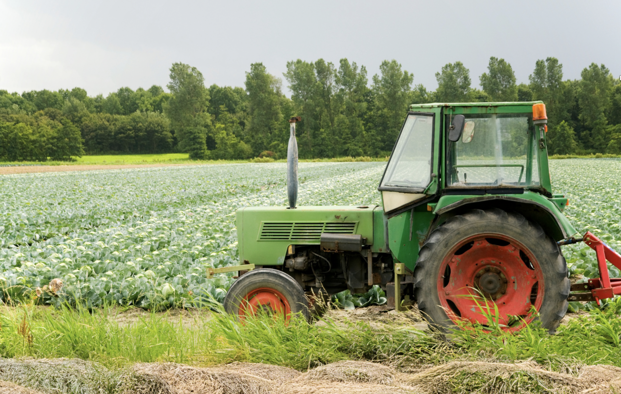 Montferland vraagt boeren input voor nieuw beleid buitengebied