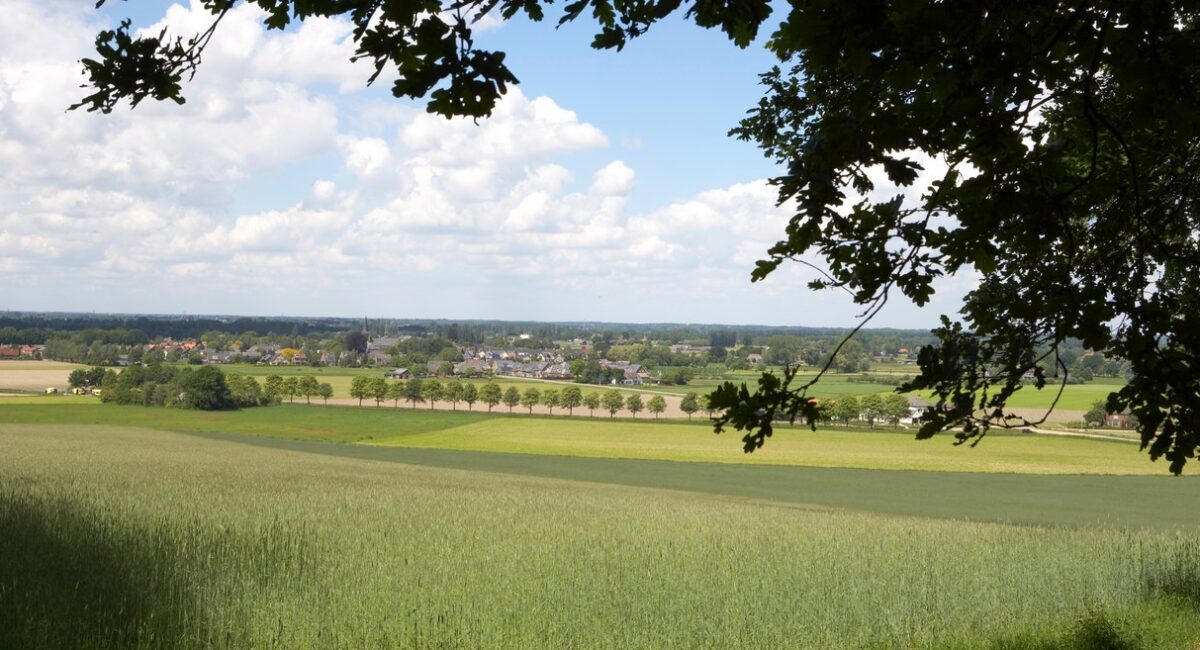 Gebiedsplan in voorbereiding voor Greffelkampse Broek en Loilse Broek