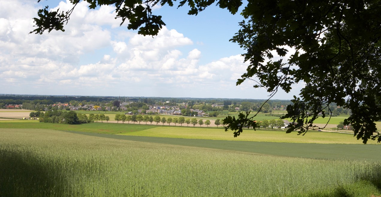 Gebiedsplan in voorbereiding voor Greffelkampse Broek en Loilse Broek