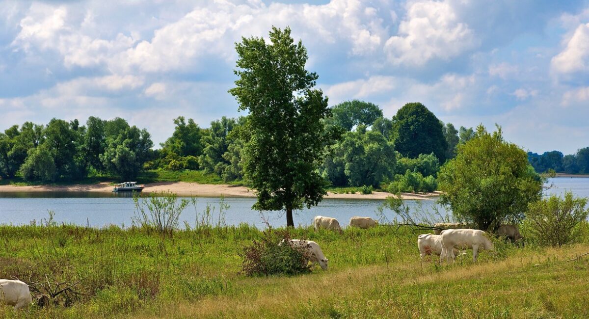 Voorbereidingen regionale plannen voor de Liemerse landbouw