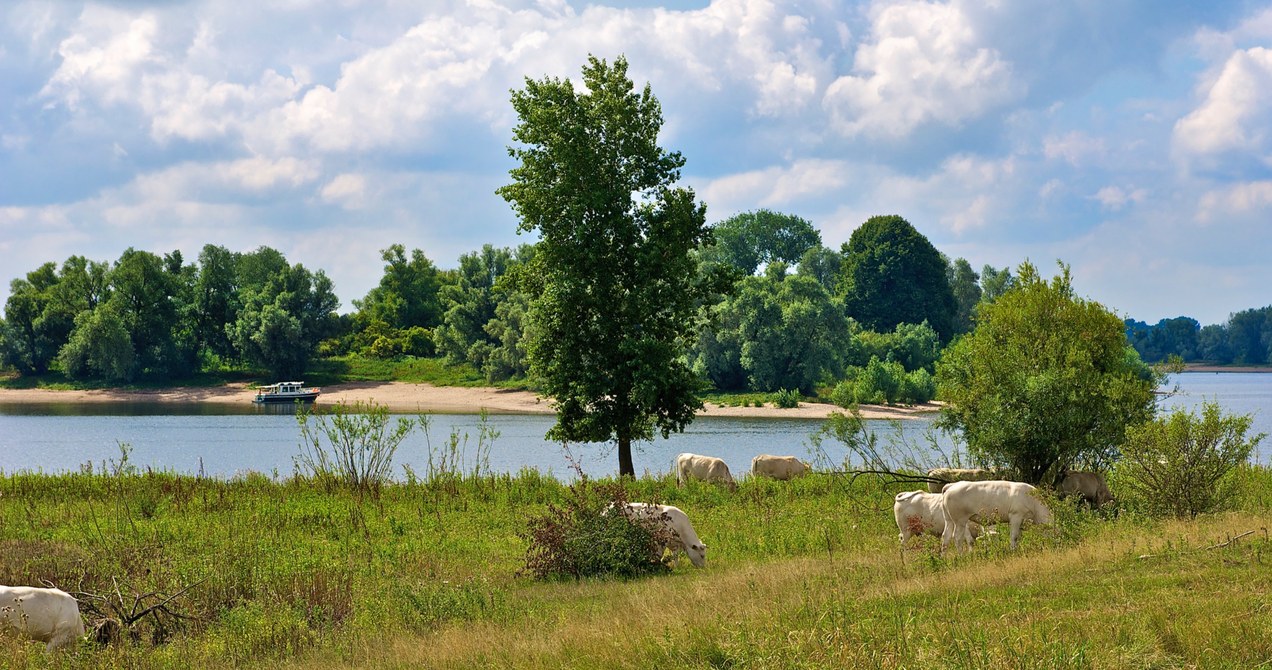 Voorbereidingen regionale plannen voor de Liemerse landbouw