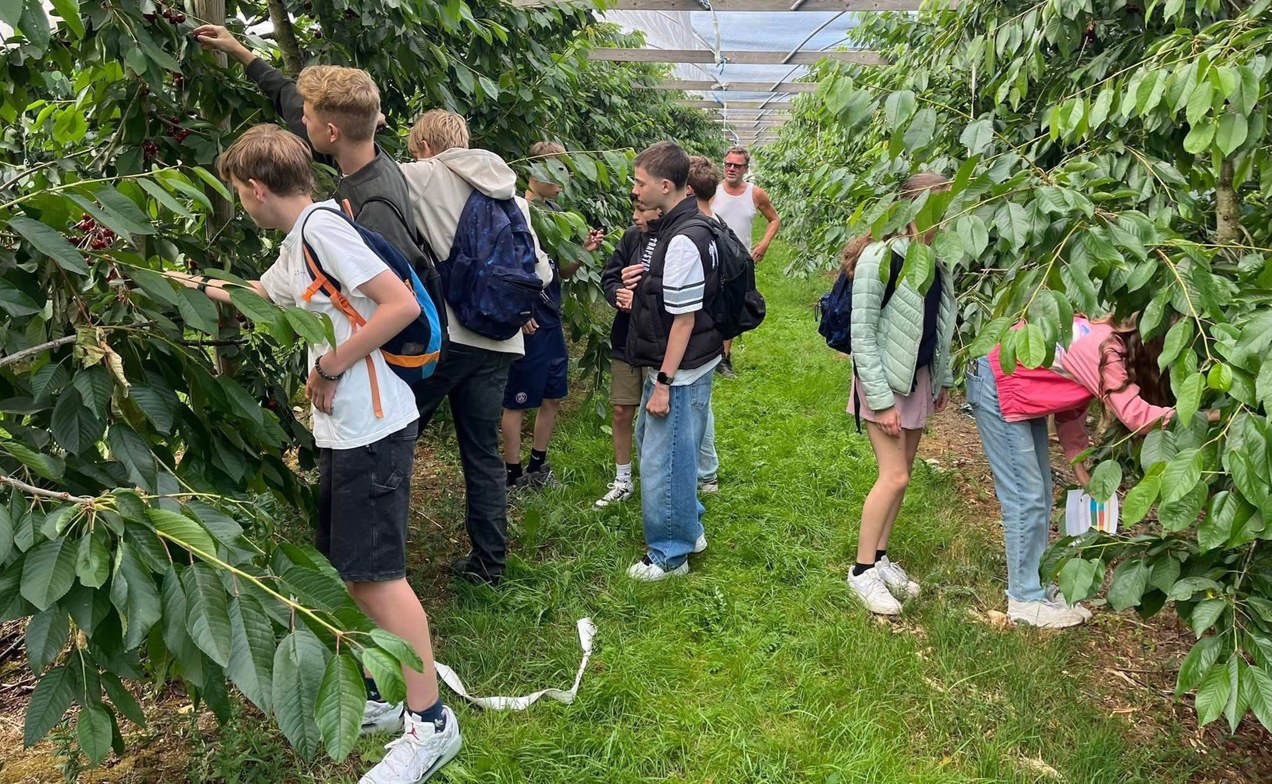 LEADER: De Stokhorst investeert in gastvrijheid, educatie en een optimale beleving op het erf